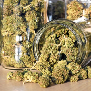 Kush High Life