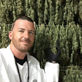 Kushgenetics2