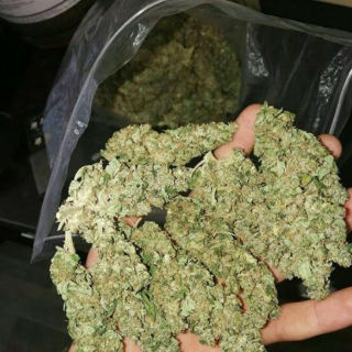 Onlinegreenmedshop