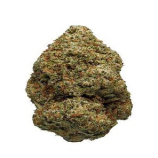 Godzilla Medical Marijuana Dispensary
