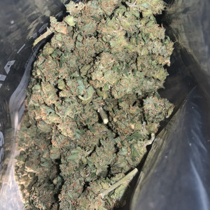 Photo for classified ad HEALTHY GENETICS BABIES CLONES AND TEENS AVAILABLE