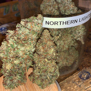 Photo for classified ad GET TOP SHELF GRADE AA INDOOR GREENHOUSE STRAINS AT AFFORDABLE PRICES