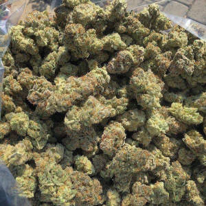 Photo for classified ad TOP SHELF GRADEAA INDOOR GREENHOUSE STRAINA AT AFFORDABLE PRICES