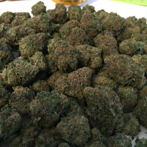 Photo for classified ad TOP SHELF GRADEAA INDOOR GREENHOUSE STRAINA AT AFFORDABLE PRICES