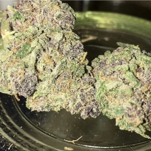 Photo for classified ad OG kush strain available.