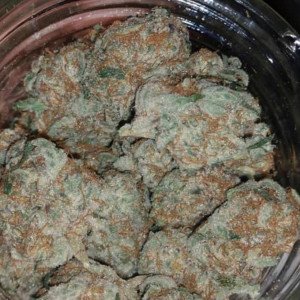 Photo for classified ad BEST THC AND CBD TOP SHELF LOUDE GRADE AA+ MEDICAL MARIJUANA FOR SALE
