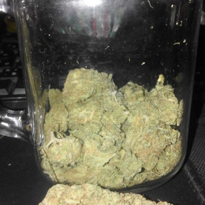 Photo for classified ad top grade THC buds