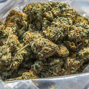 Photo for classified ad TOP QUALITY MEDICAL WEEDS AVAILABLE AT AFFORDABLE PRICES