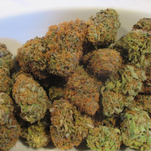 Photo for classified ad    QUALITY A GRADE : **SWEET NIGHTMARE:18.86%  OG KUSH ,  TO ORDER HIT :  Whatsapp : +44 7537127161