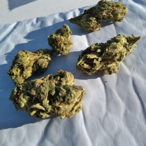 Photo for classified ad Blue cookies 