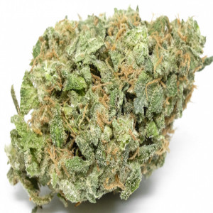 Photo for classified ad High Potency White Widow
