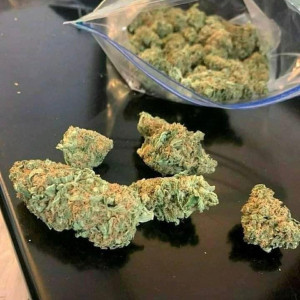 Photo for classified ad exotic top cannabis