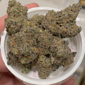 Photo for classified ad Girl scout cookies purple kush white windows, bluedream Super Skunk AK 47