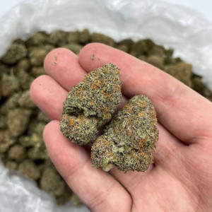 Photo for classified ad Champagne Runts and more exotic buds bulk sale