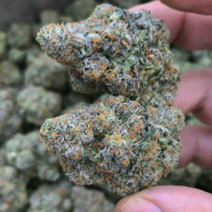 Photo for classified ad Quality medical marijuana for you funs 