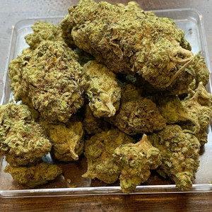 Photo for classified ad OG KUSH SUPPLIES