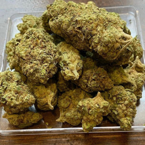 Photo for classified ad Qaulity marijuana for you guys we supply fast and the best . Hit me on Whatsapp: +1 805-419-5994
