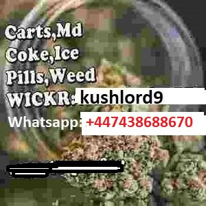 Photo for classified ad Quality indica,sativa,hybrid , coke md available 