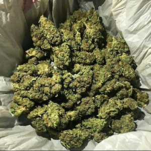 Photo for classified ad Quality weed , Carts, vapes, hash, crystals, pills