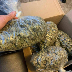 Photo for classified ad  Available Marijuana we supply fast and the best . Hit me on Whatsapp: +1 805-419-5994