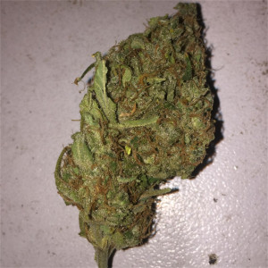 Photo for classified ad High quality 100% weed available 