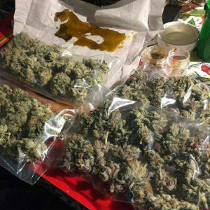 Photo for classified ad Indoor and outdoor Quality weed available 