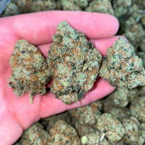 Photo for classified ad Premium top shelf MJ strains available in stock. Carts, vapes, hash, crystals, pills also available.