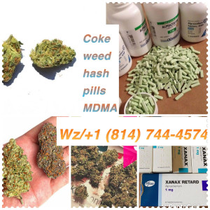 Photo for classified ad WHERE TO GET GOOD SATIVA AND INDICA IN UAE 