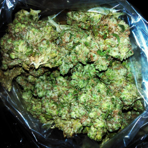 Photo for classified ad  White Fire OG Kush