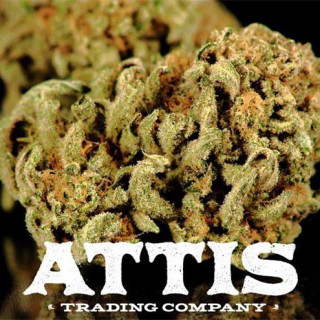 Attis Trading - 4920 NE Cully