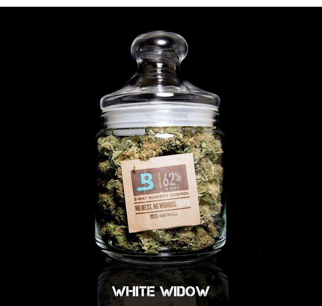 jointup dispensary