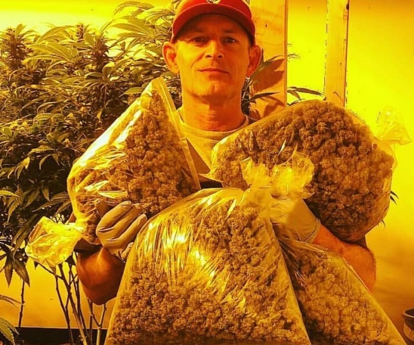 marijuanalist