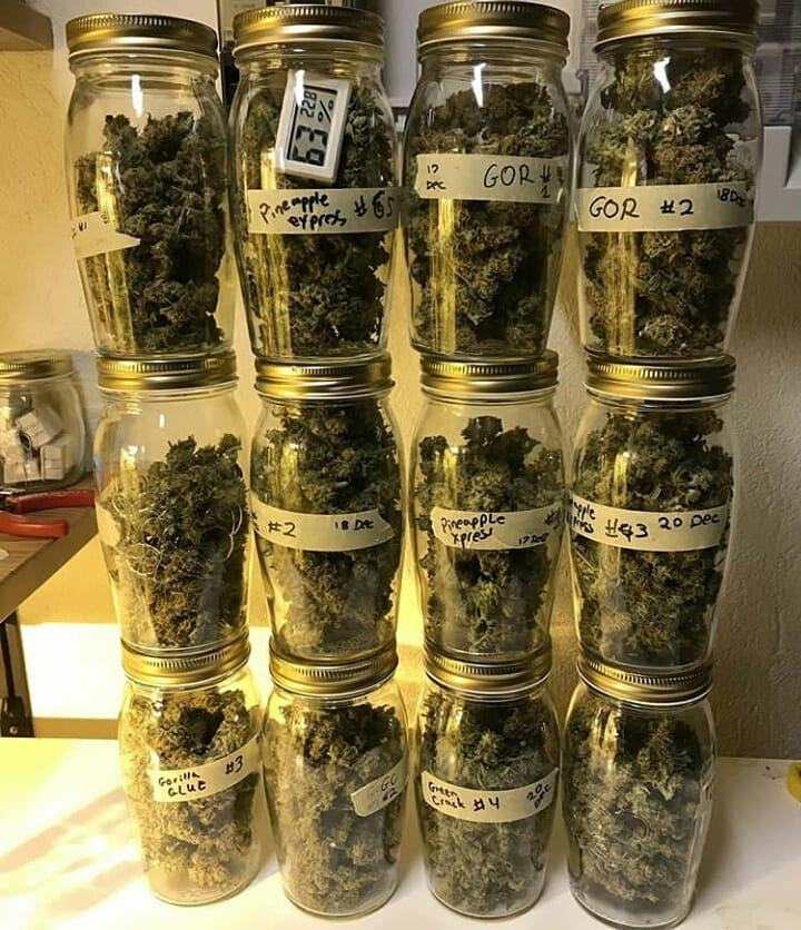 PA420