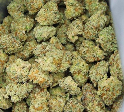 califarms23