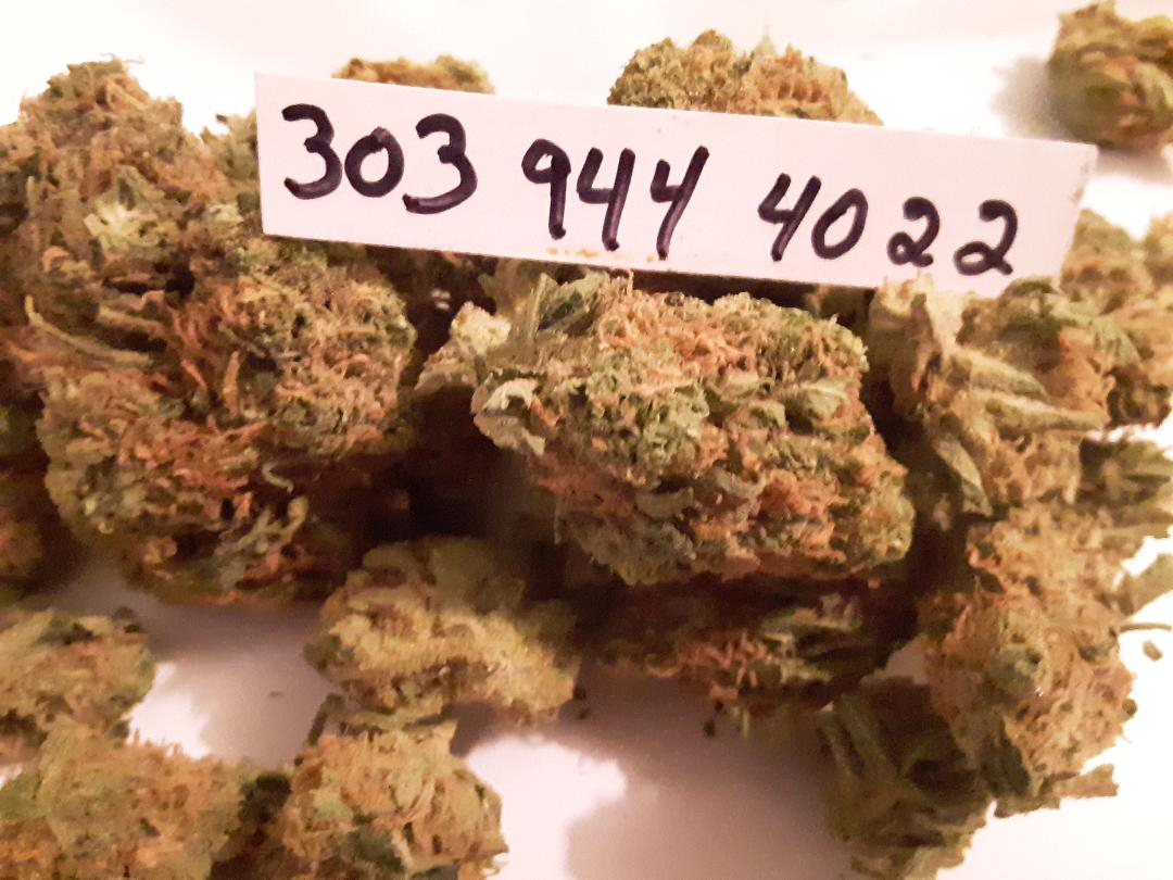 denverdank