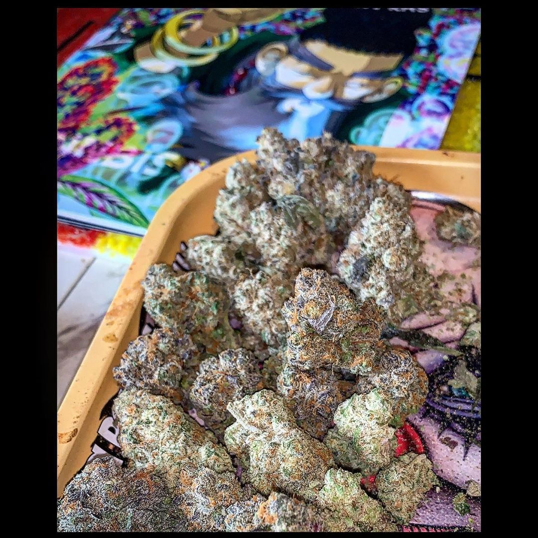 Steve_plug