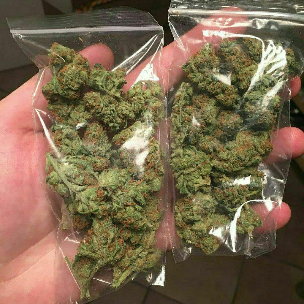 HappyZoneBuds