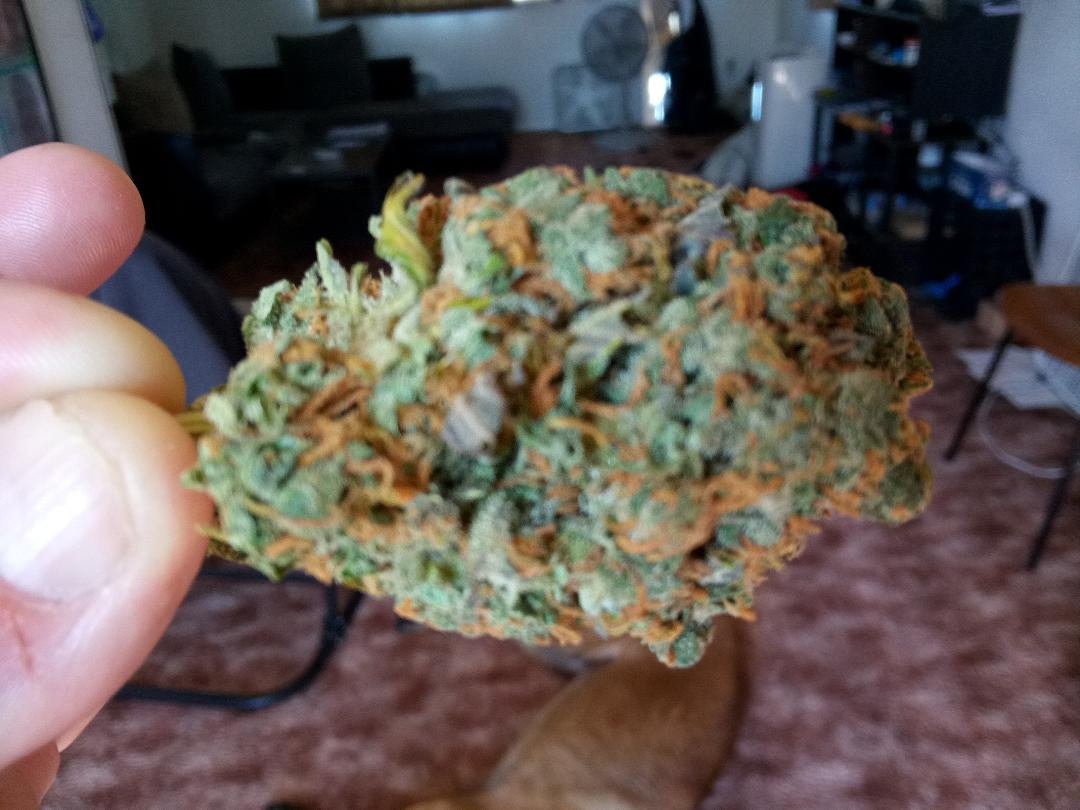 denver dankest