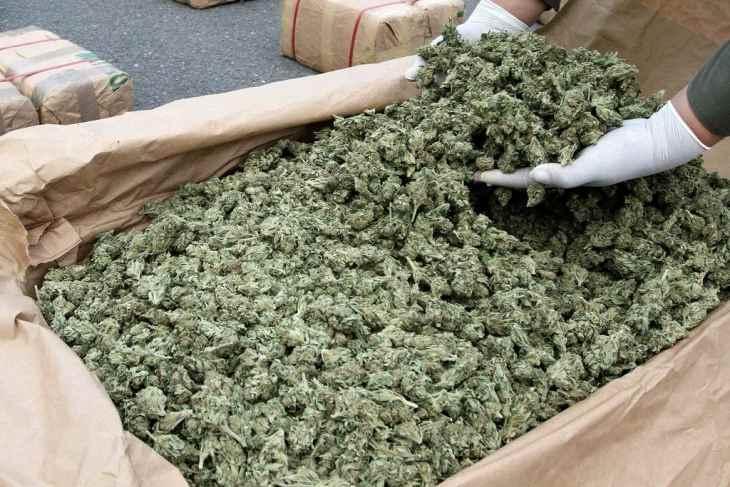 Kush Best