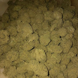 cannab