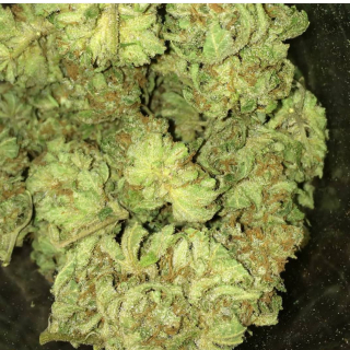 Cannabis