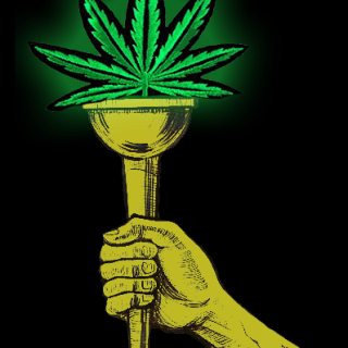Marijuana Bud Shop 1
