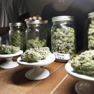 pacific weed dispensary