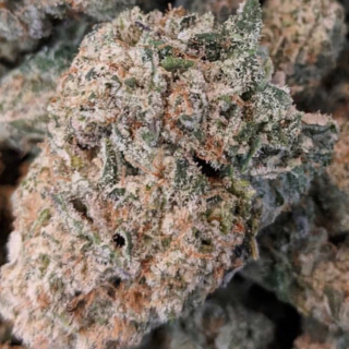 Highlife420