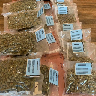 Cannabis main supplier.