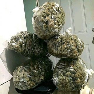 Cbdwarehousestore