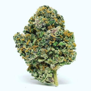 Marijuana Takers