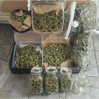 ganja shop