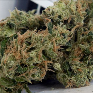 Med Bud Shop