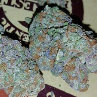 Cannacity